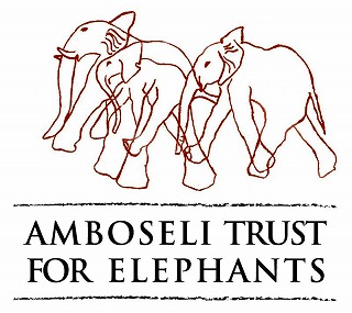 AMBOSELI TRUST FOR ELEPHANTS