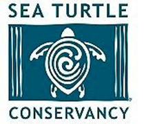 SEA TURTLE CONSERVANCY