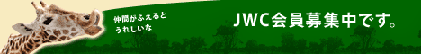 JWC�����W���ł��B