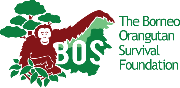 BORNEO ORANGUTAN SURVIVAL INTERNATIONAL (BOS)