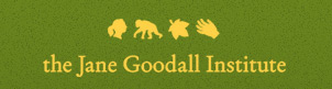 THE JANE GOODALL INSTITUTE