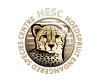 HOEDSPRUIT CHEETAH PROJECT